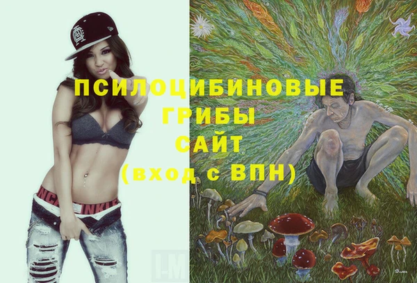 прущий лед Бородино