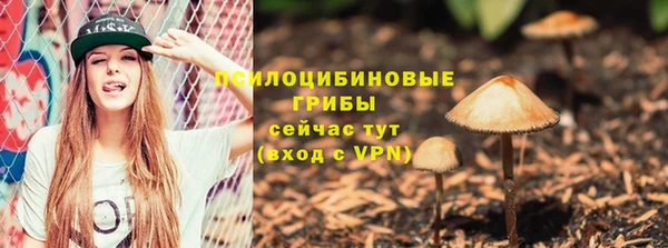ALPHA PVP Сосновый Бор