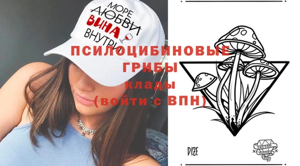 прущий лед Бородино