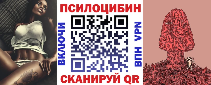 наркошоп  Новосокольники  Галлюциногенные грибы Psilocybe 